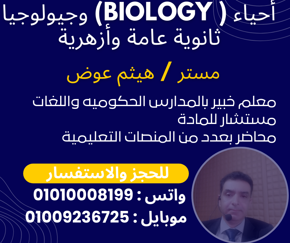 هيثم عوض 