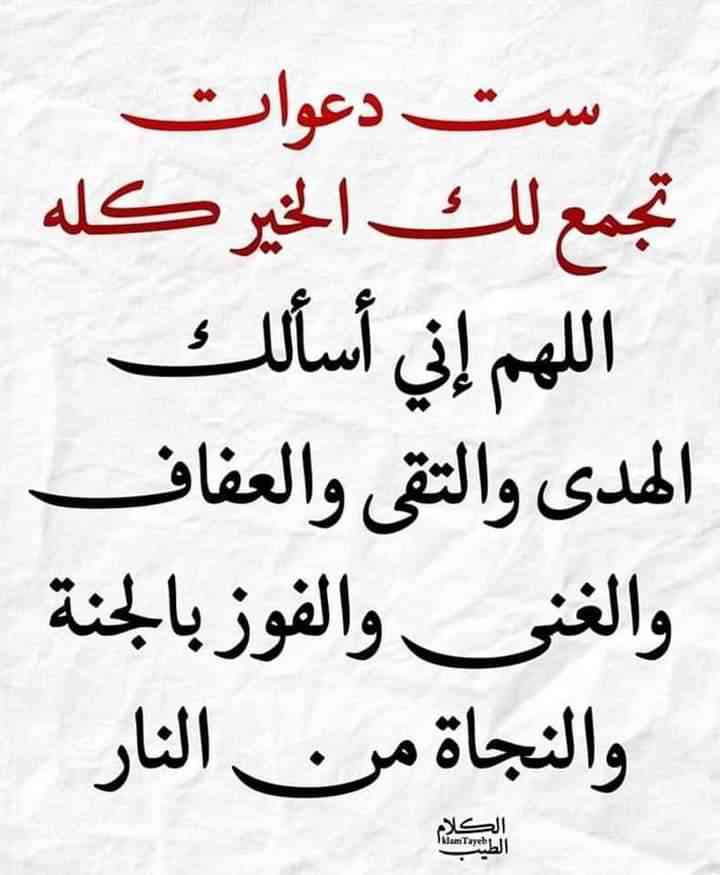 هاجر عاشور محمد